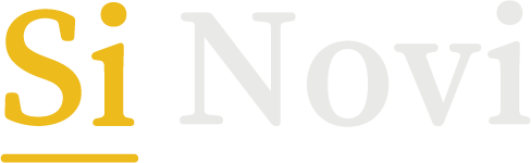 Logo for Si Novi, a UK-based software consultancy
